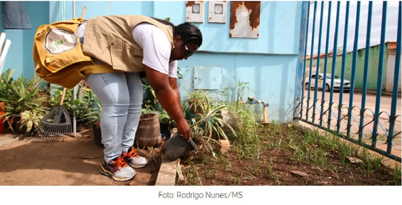 Segunda quinzena do mês acende alerta sobre cuidados com Aedes aegypti