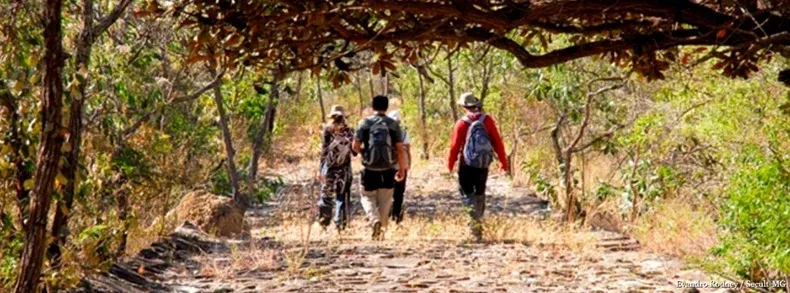 Guia de trilhas do Parque Estadual do Rio Doce amplia ecoturismo