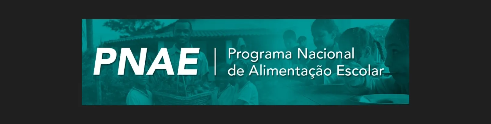Conheça as diretrizes do PNAE para a alimentação escolar