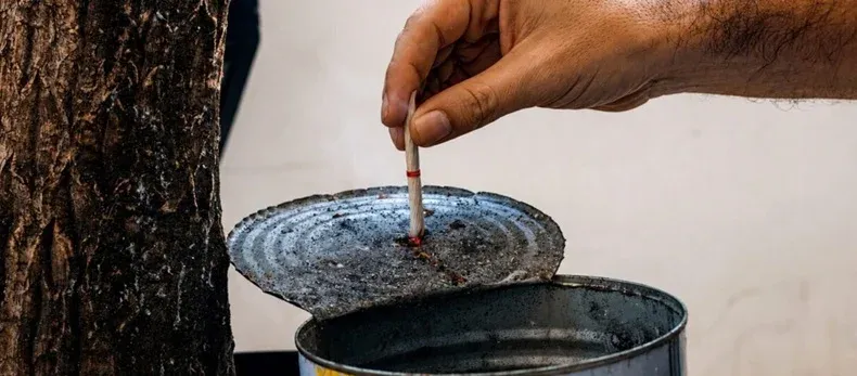 Dia Mundial Sem Tabaco alerta para riscos dos vapes e do cigarro